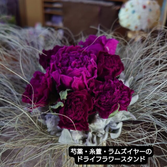 紅花開花 – 草木染工房 瓶屋